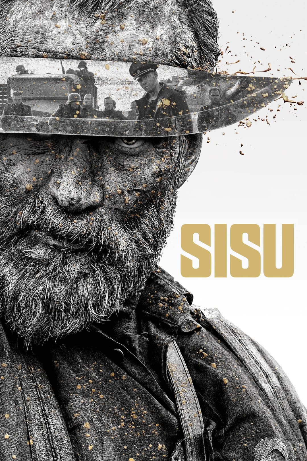 Sisuimage