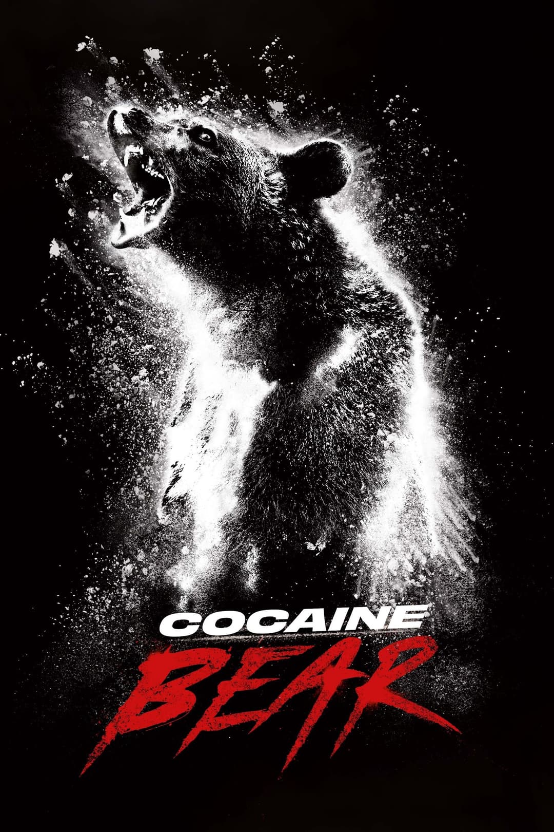 Cocaine Bearimage